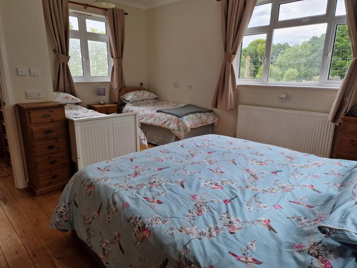Country Retreat Near Sea And South Downs, On National Cycle Network Lejlighed Polegate Eksteriør billede